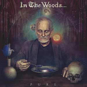 In The Woods - Pure In The Woods - Pure