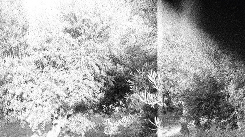 Godspeed You! Black Emperor